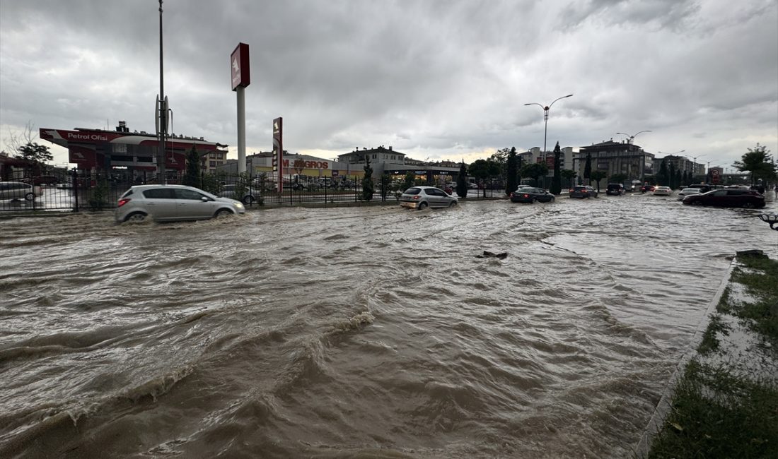 ELAZIĞ (AA) – Elazığ'da