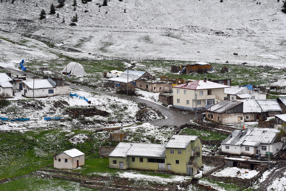 Kars'ın Sarıkamış ilçesinde kar etkili oldu