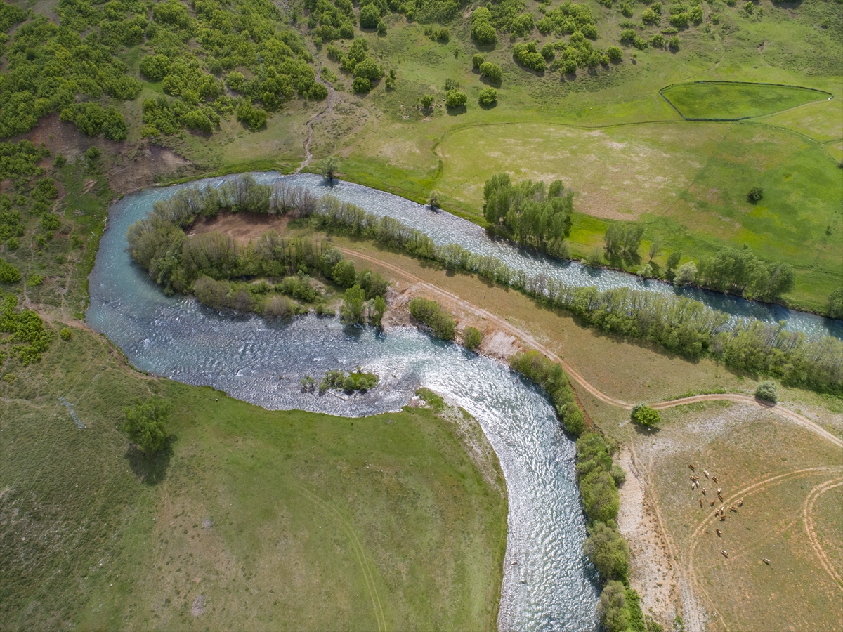 Munzur Vadisi Milli Parkı'nın ilkbahar güzelliği