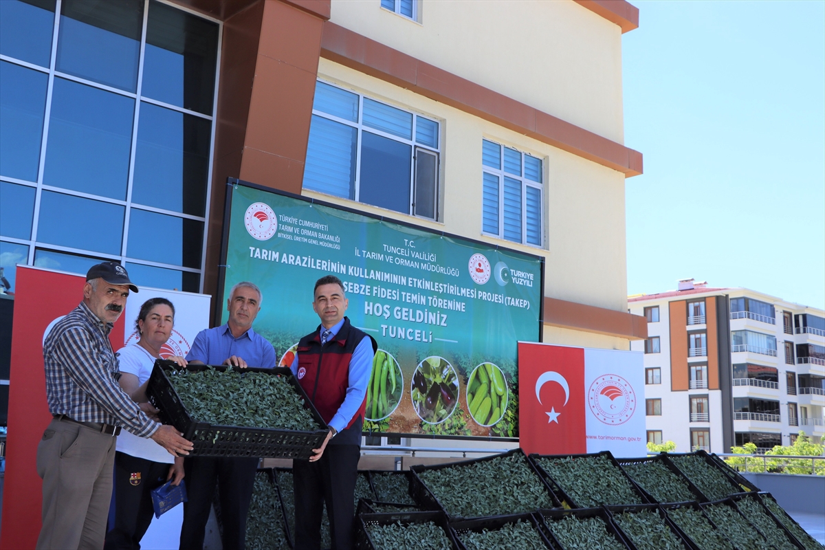 Tunceli'de 228 üreticiye 84 bin domates fidesi dağıtıldı