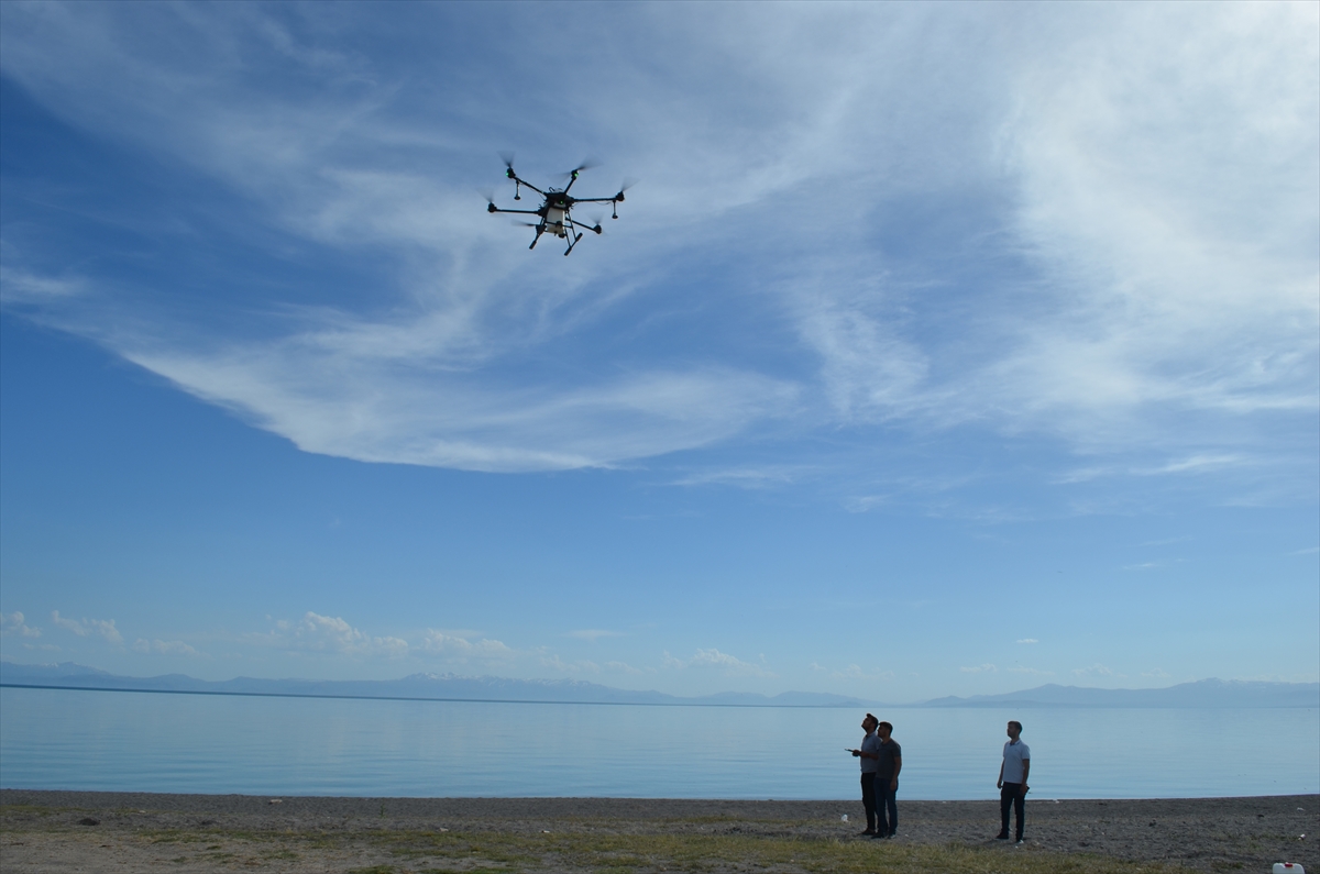 Adilcevaz'da haşere ve sineklere karşı dronla ilaçlama çalışması yapıldı