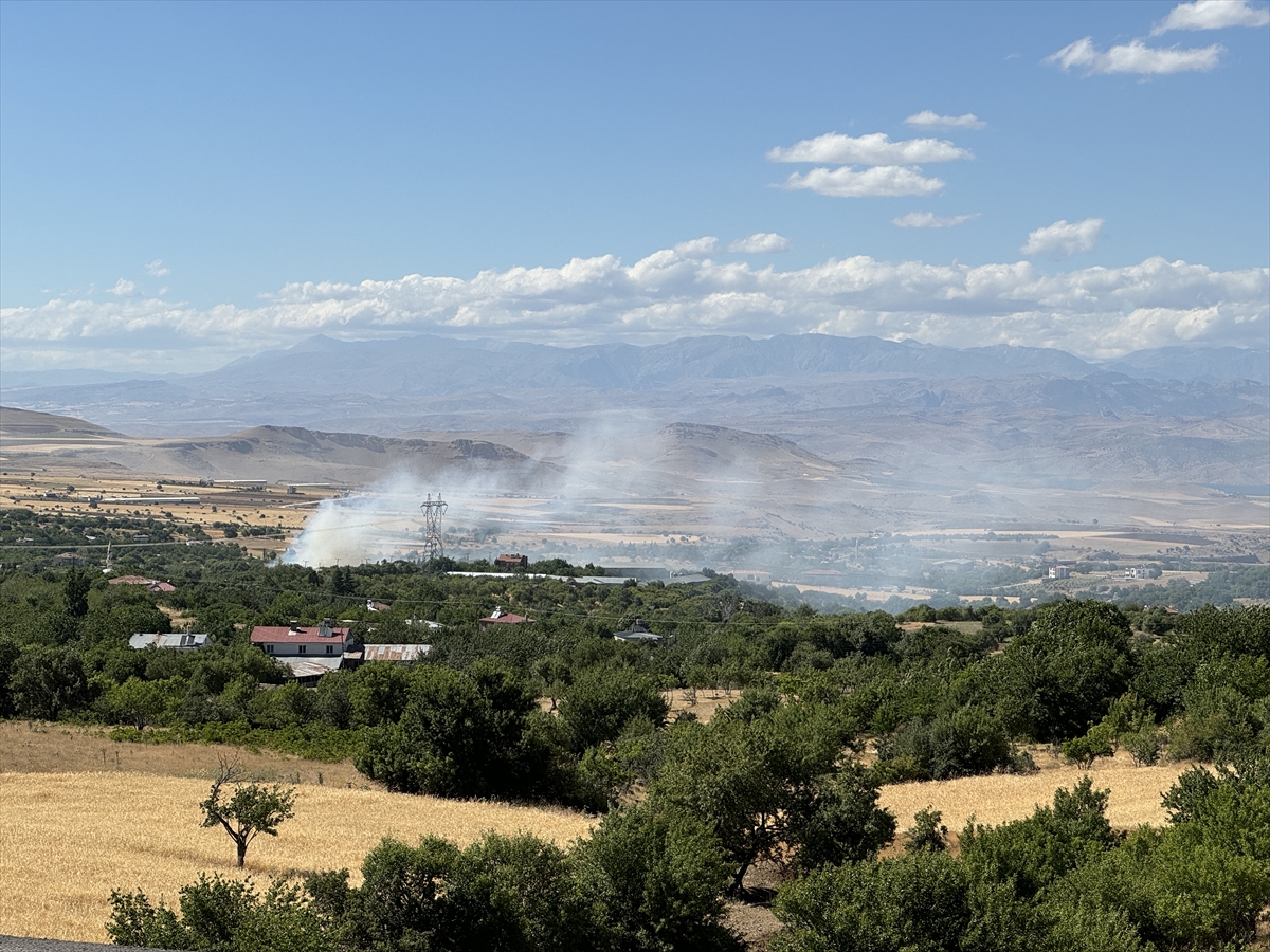 Elazığ'da çıkan yangında 45 dönüm ormanlık ve ekili alan zarar gördü