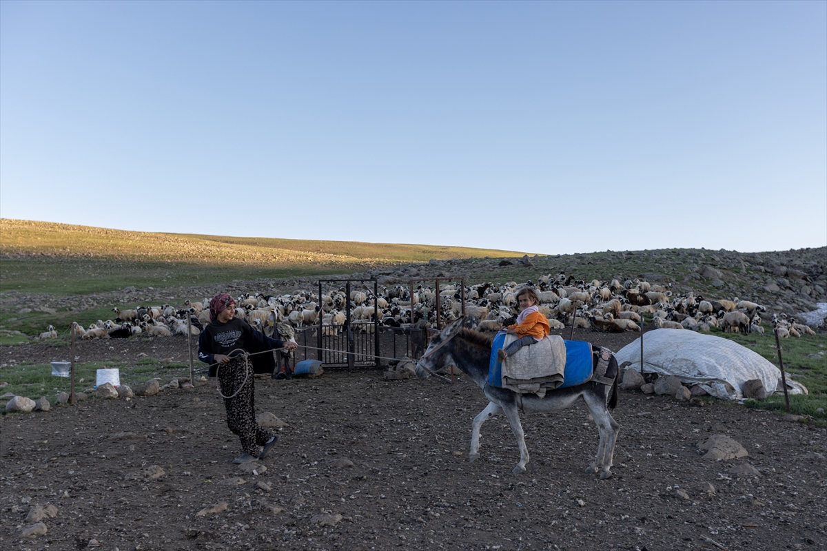 Erzurum'un karlı yaylaları göçer aileleri ağırlıyor