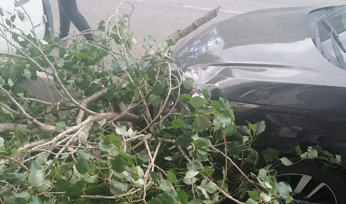 Kars’ta şiddetli rüzgar nedeniyle kırılan ağaç dalları otomobilde hasar oluşturdu