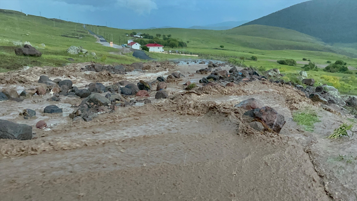 Ardahan'da sağanak nedeniyle ekili araziler zarar gördü