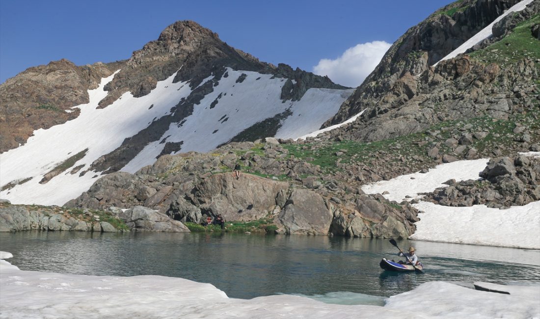 HAKKARİ (AA) – SAYİM