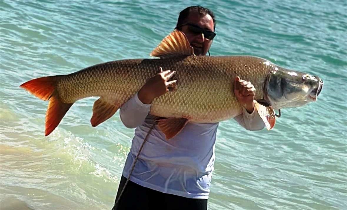 Elazığ'da amatör balıkçı 39 kilogramlık turna balığı yakaladı