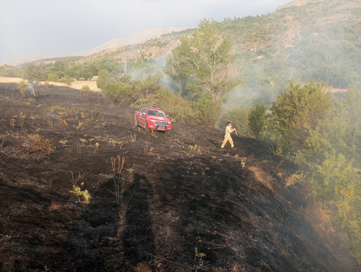 Elazığ'da mera ve bahçelik alanda etkili olan yangın söndürüldü