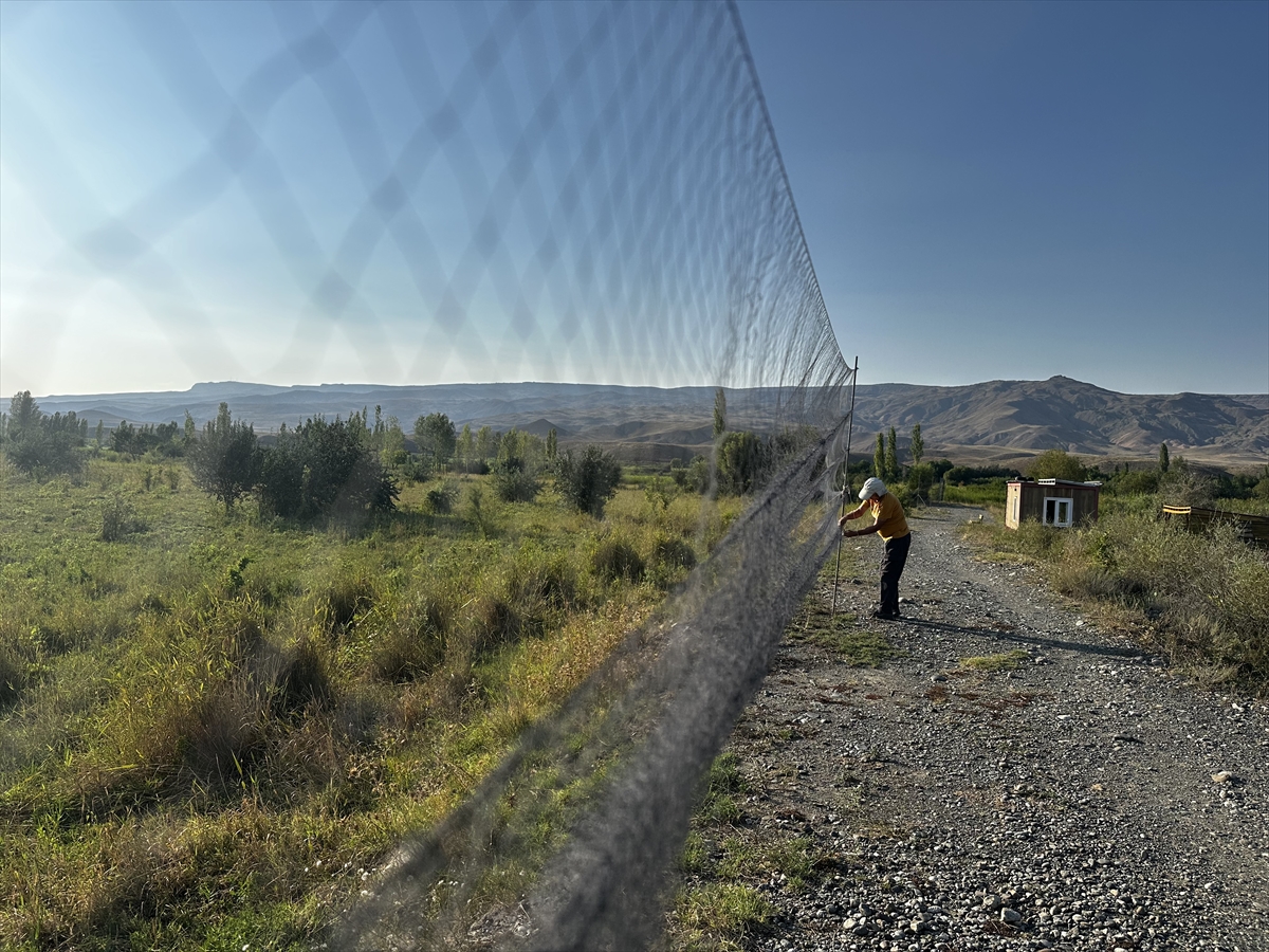 Aras Kuş Cenneti'nde 2 haftada 1100 kuşa halka takıldı