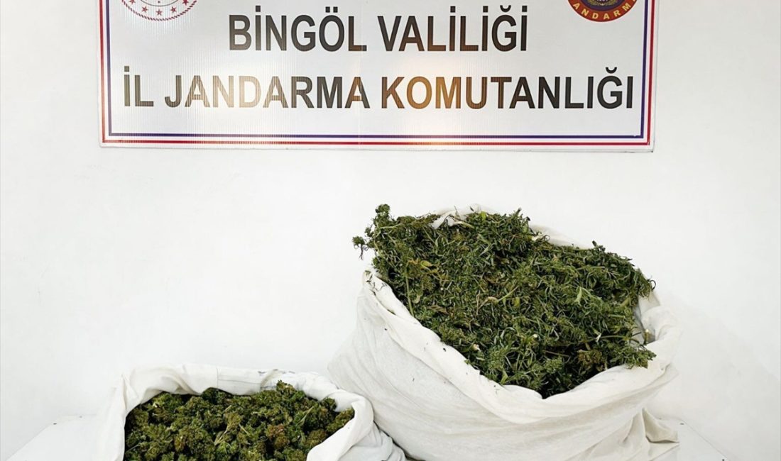 BİNGÖL (AA) – Bingöl'ün