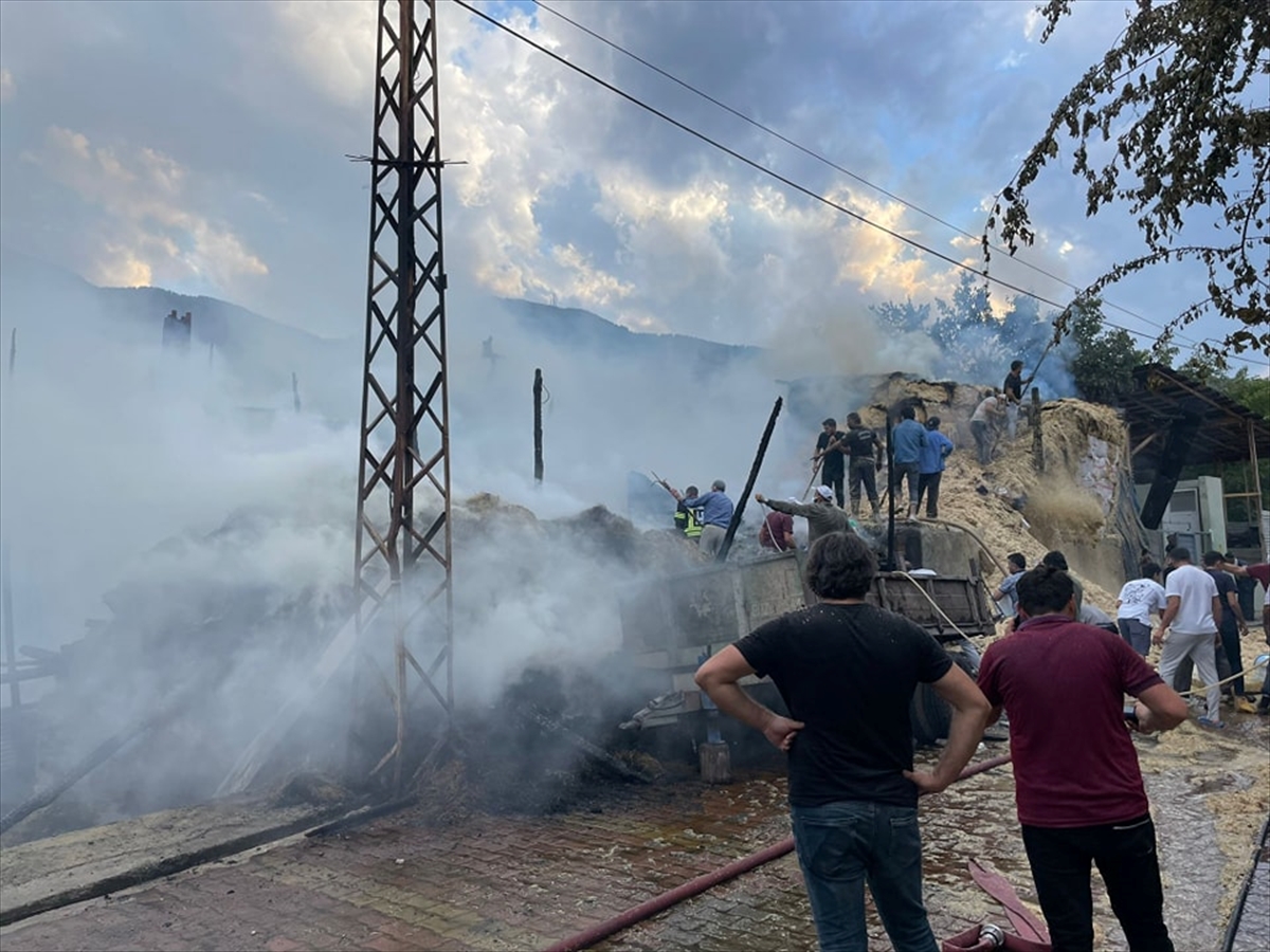 GÜNCELLEME – Erzurum'da çıkan yangında ev, ahır ve samanlık zarar gördü