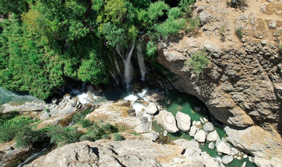 HAKKARİ (AA) – SAYİM