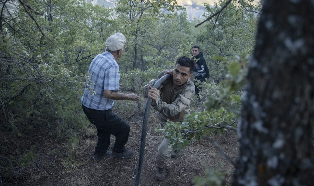 TUNCELİ (AA) – Tunceli'de