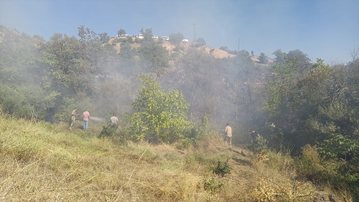 Tunceli'de ormanlık alanda çıkan yangına müdahale ediliyor