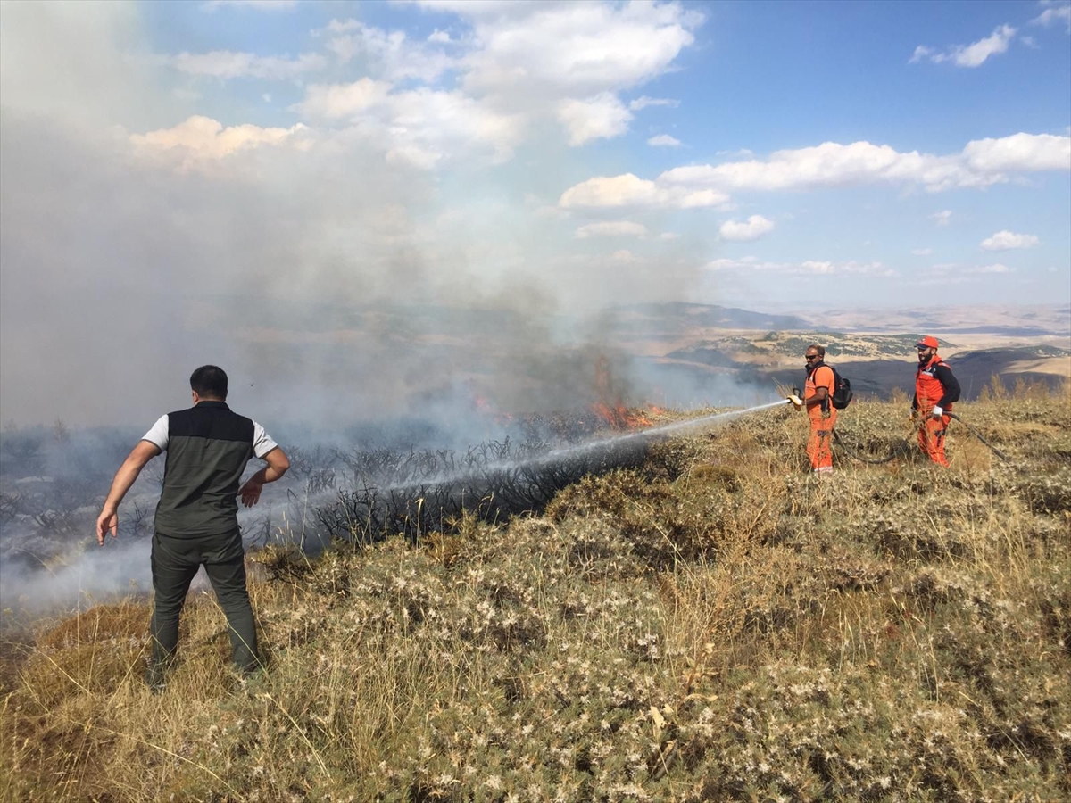 Bingöl'de merada çıkan yangın ormanlık alana sıçramadan söndürüldü