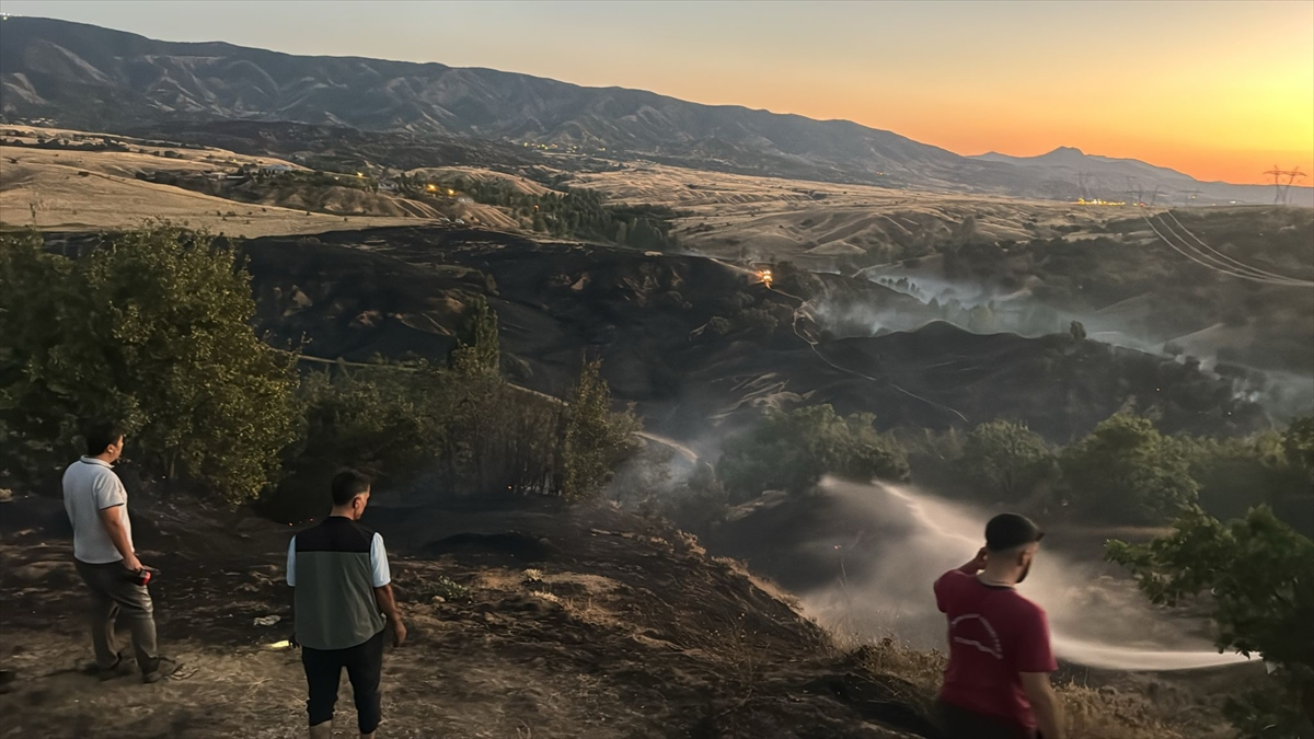 Bingöl'de ormanlık alanda çıkan yangın söndürüldü