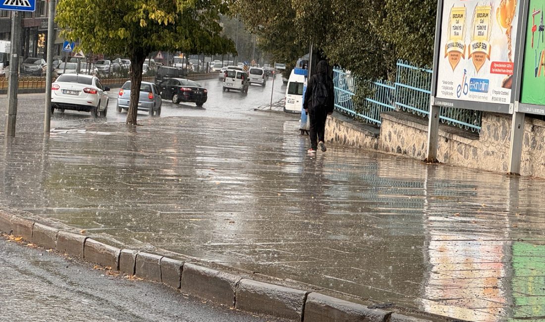 ERZURUM (AA) – Erzurum'da