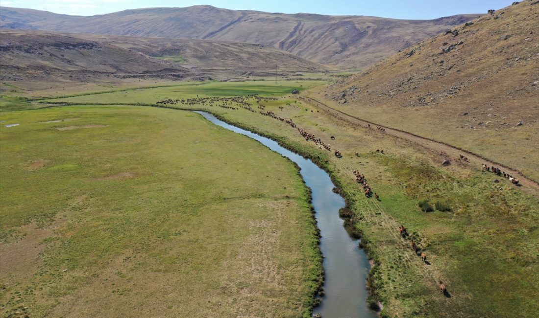 AĞRI (AA) – ABDULLAH